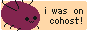 a button with a round cartoon bug that reads 'i was on cohost!'